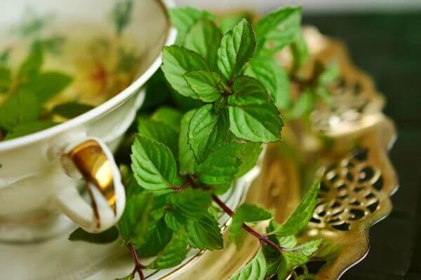 Naturally Soothe Your Mind and Body Discover the Top 6 Benefits of Peppermint Essential Oil