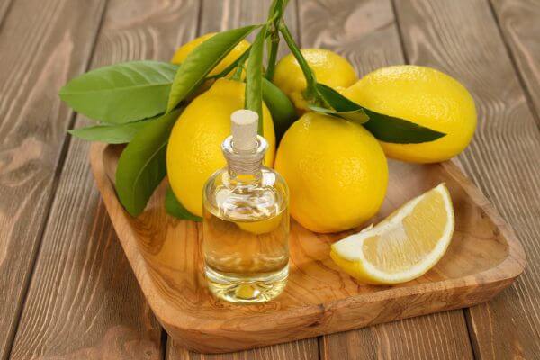 Lemon Essential Oils Help Cleanse and Purify