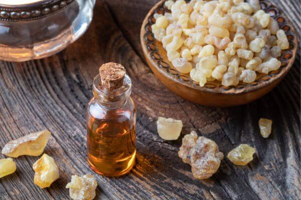 Discover the Rich History and Healing Benefits of Precious Frankincense Essential Oil