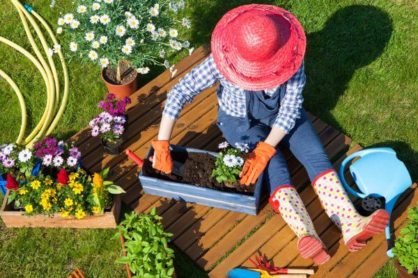From Seed to Serenity How Simple Gardening Helps Relieve Stress