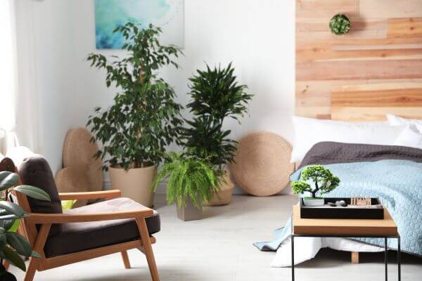 Your Essential Guide To Feng Shui Interior Design