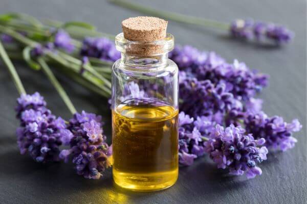 Blessings and Rituals Using Essential Oils