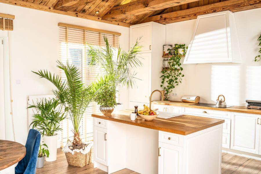 Biophilic kitchen design