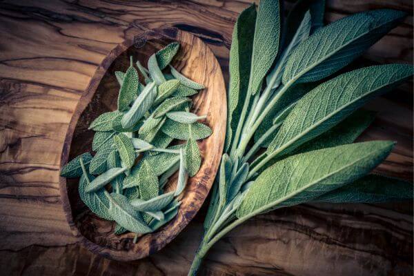 5 Amazing Benefits of Enjoying Sage in Your Home
