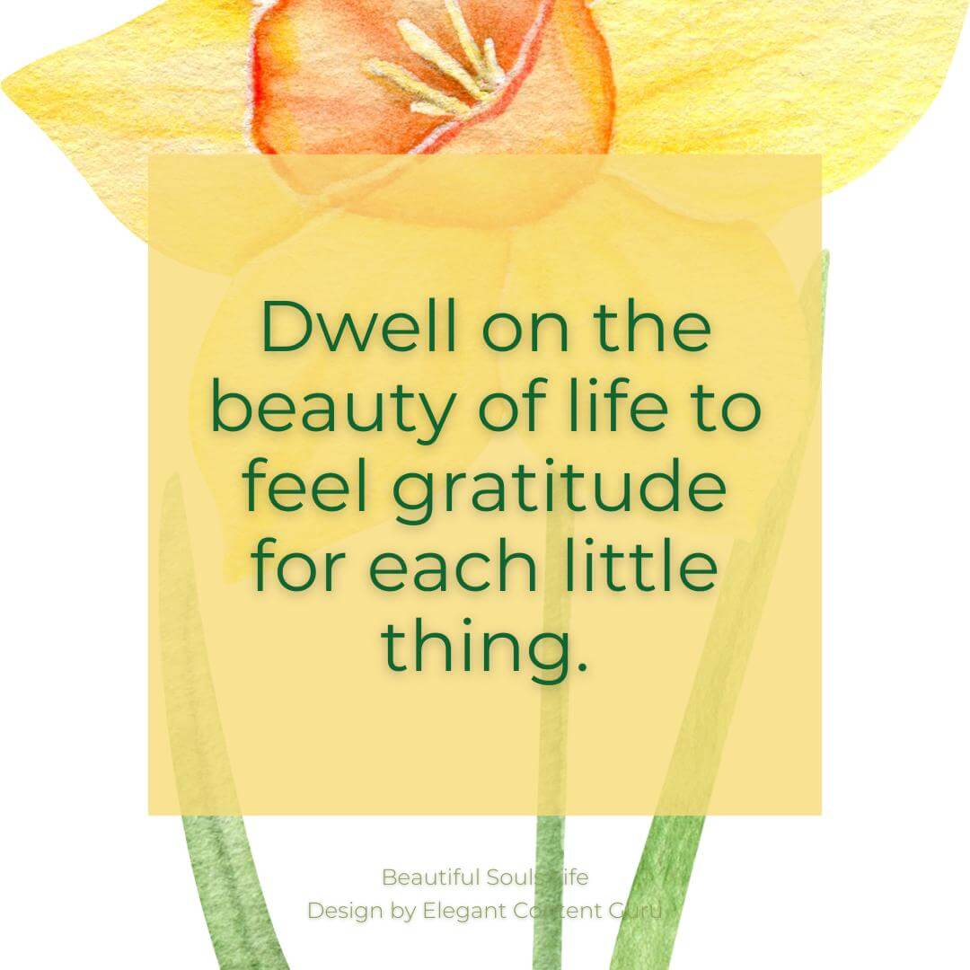Dwell on the beauty of life to feel gratitude for each little thing.