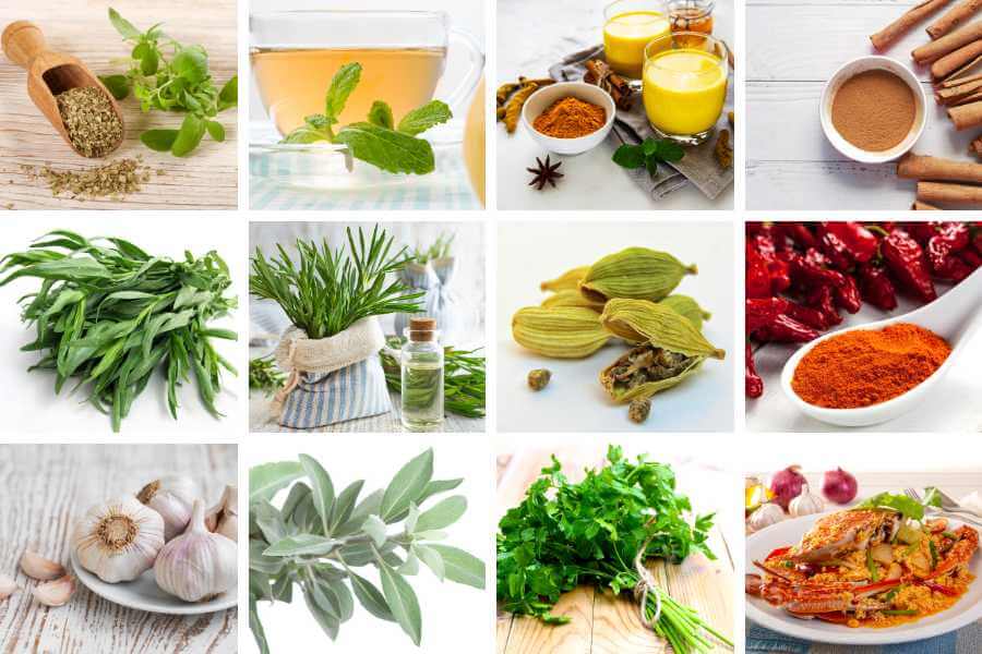 12 Nutrient-Dense Flavorful Herbs and Spices To Boost Your Health