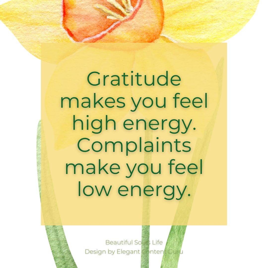 Gratitude makes you feel high energy. Complaints make you feel low energy.