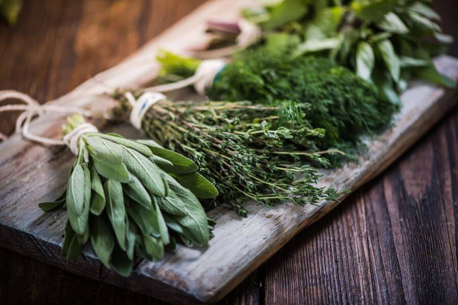 The Ultimate Guide to Growing Your Own Herbs A Beginner’s Journey