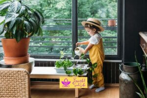 How to Make Your Home a Paradise with Mother Nature